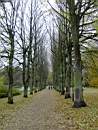 Promenad 2003-11-02 013.jpg